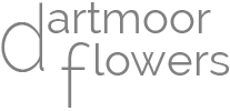 Dartmoor Flowers