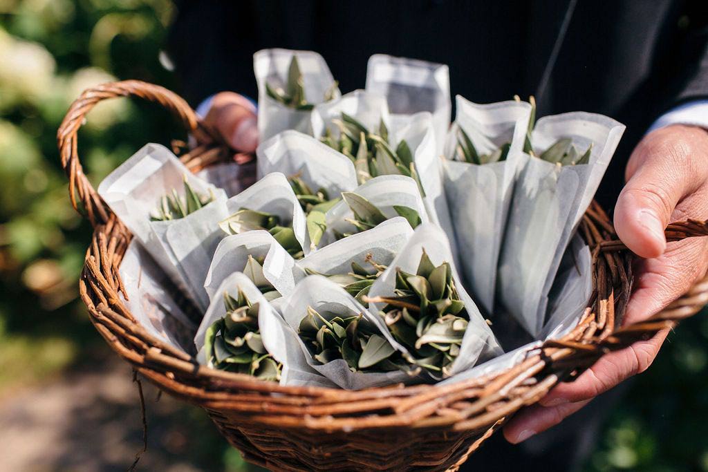 Packets of green leaved confetti