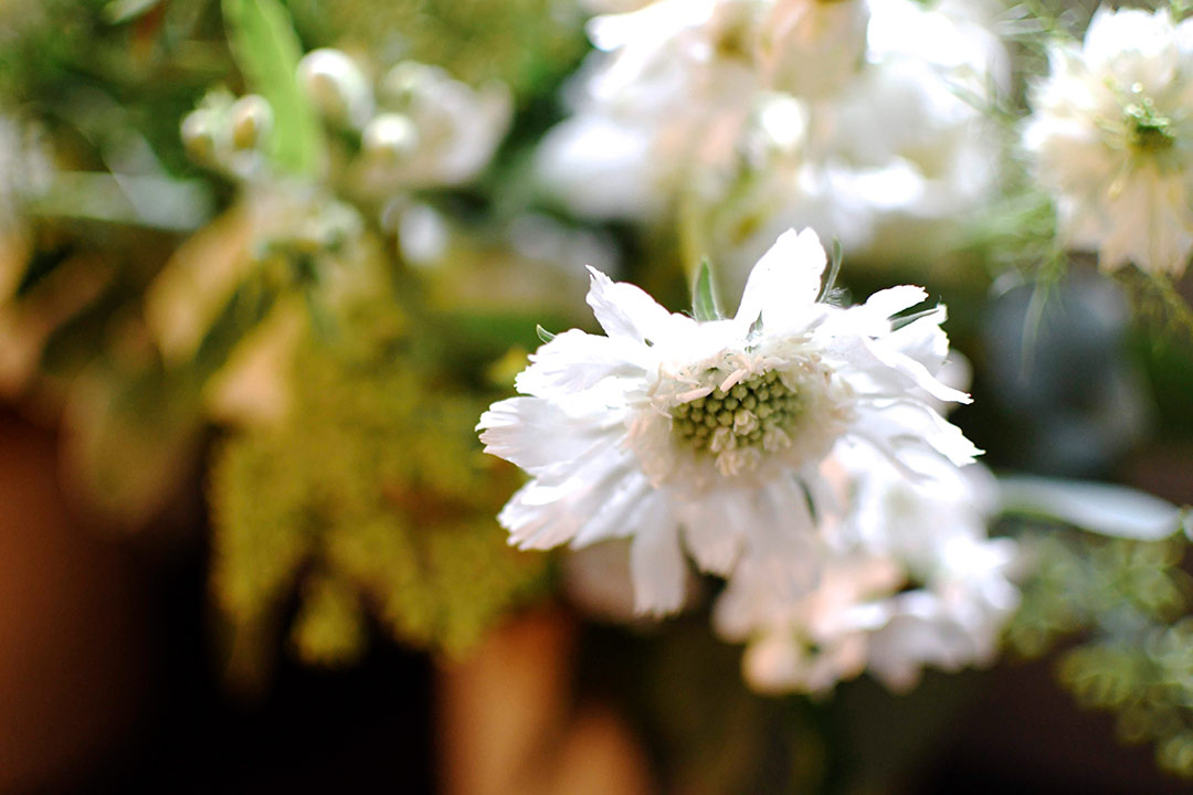 Close up of white wedding flowers